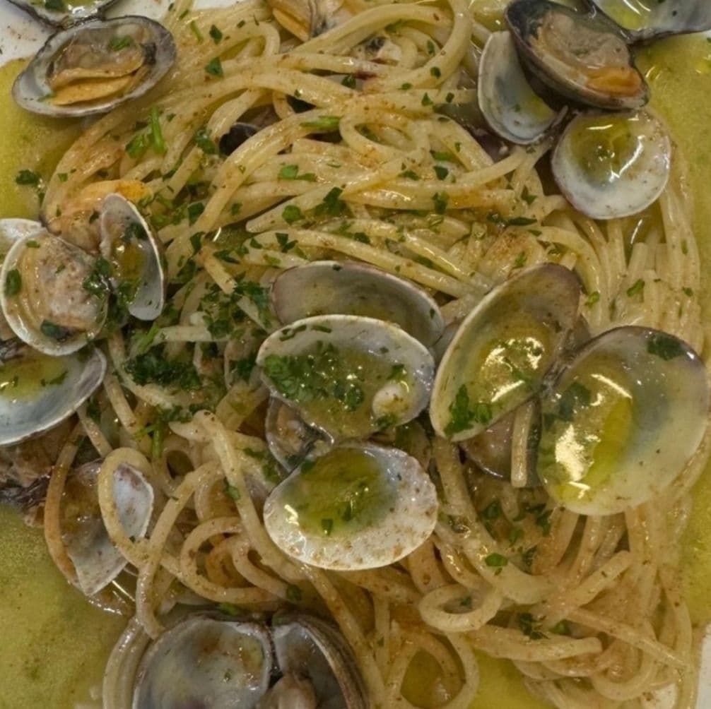 SPAGHETTONI MIT VENUSMUSCHELN (14)