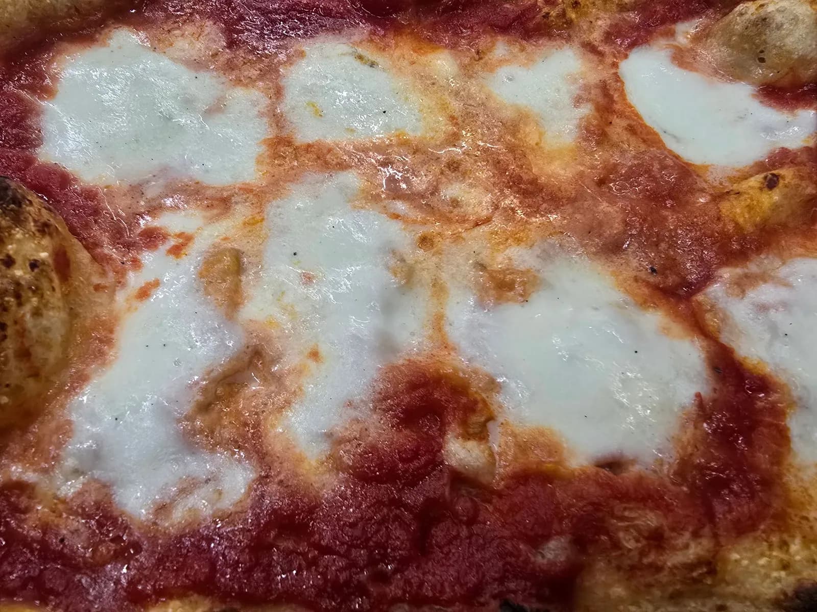 MARGHERITA